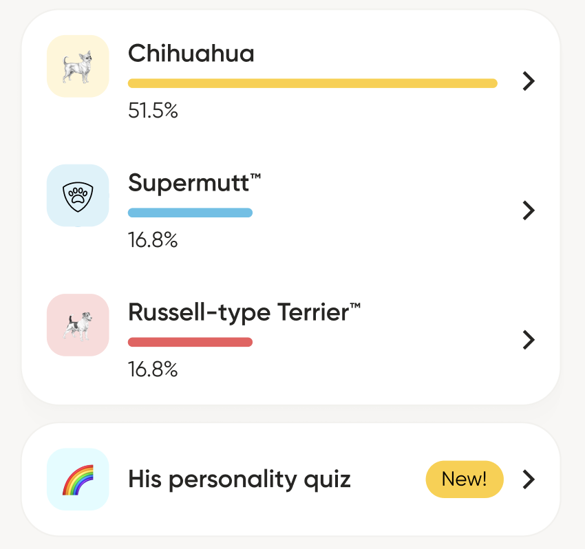 Personality Quiz Location.png