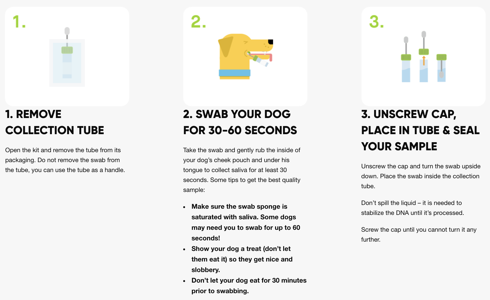 How to Swab Steps 1-3. Step 1: Remove Collection Tube, Step 2: Swab Your Dog for 30-60 Seconds, Step 3: Unscrew Cap, Place in Tube, and Seal Your Sample. See next image for Steps 4-6.