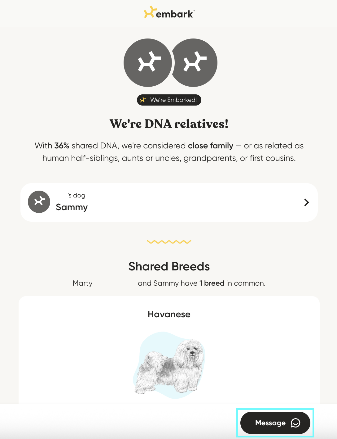 Message Button in Relatives.png