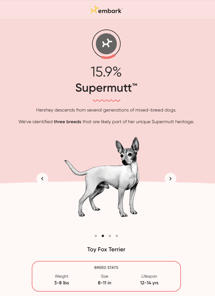 Supermutt Trace Breeds.png