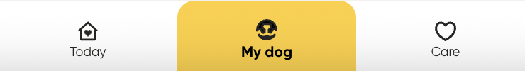My dog tab
