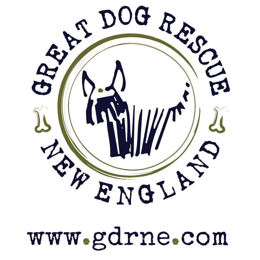 Great Dog Rescue New Englad Logo.jpg