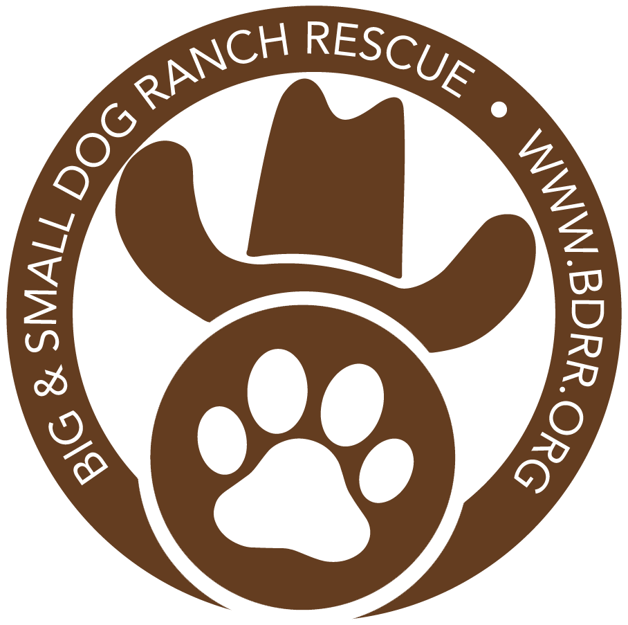 BDRR Logo Icon NAME-Color.png