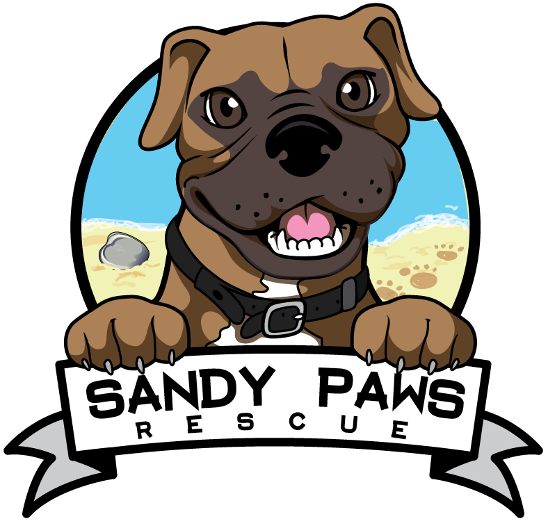 Sandy Paws Rescue.png